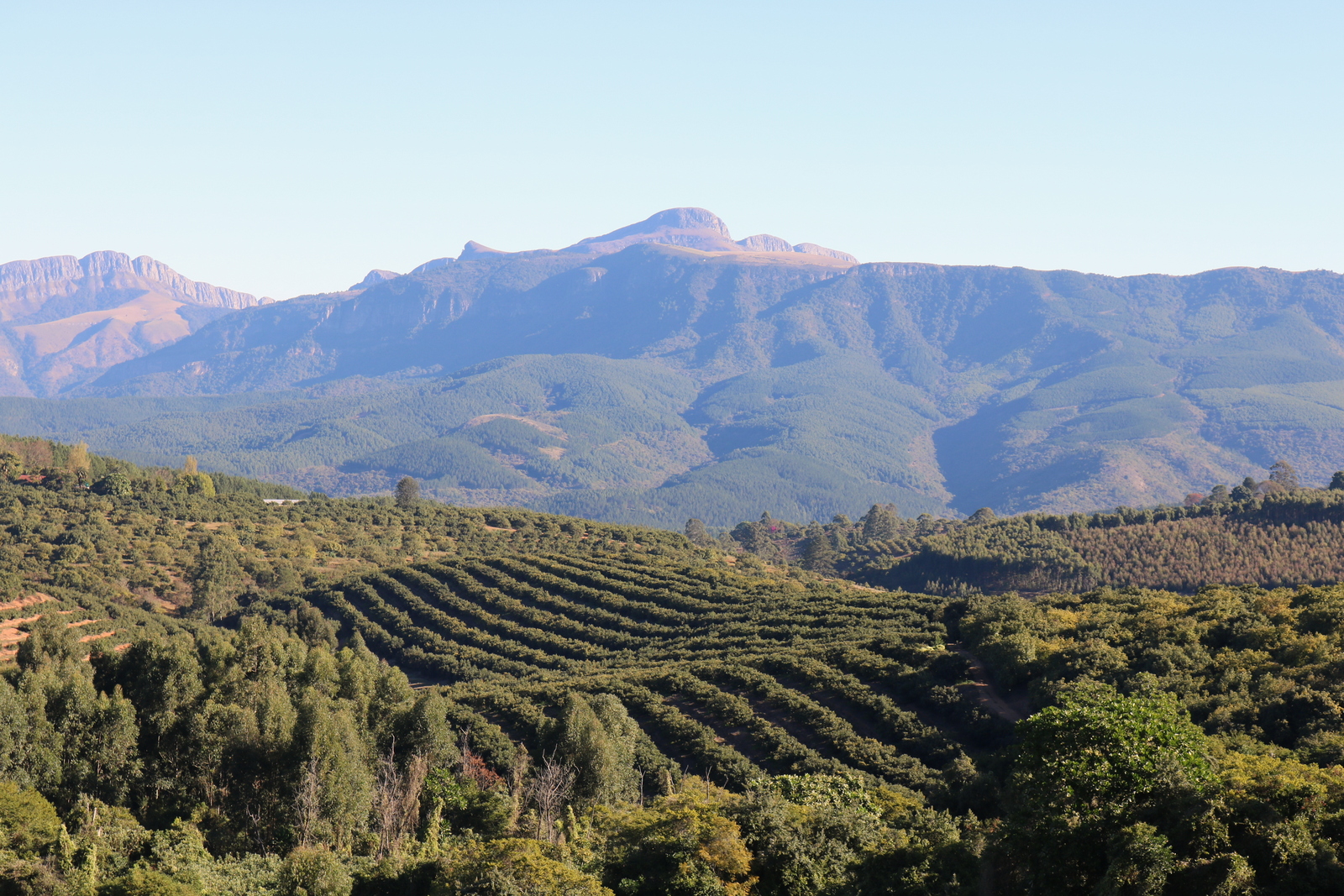 32723515724_a36e8fb0ce_o